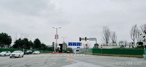 成華區熊貓大道東段 龍青路道路及配套設施改造工程