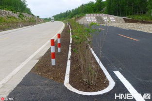 黑土地上勁吹 綠色風(fēng) 黑河綠色農(nóng)業(yè)發(fā)展見(jiàn)聞