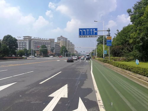 回應市民關切，龍洲路沿線路口交通設施迎升級，道路安全再添新保障